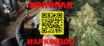 apvp Партизанск