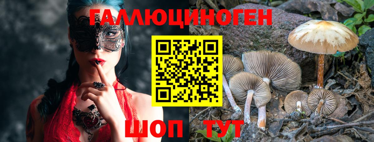 Псилоцибиновые грибы мицелий  Вход с VPN  Урай 